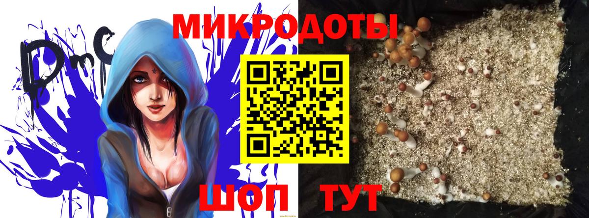 Псилоцибиновые грибы Psilocybine cubensis  Вход с VPN  где можно купить наркотик  Тутаев 